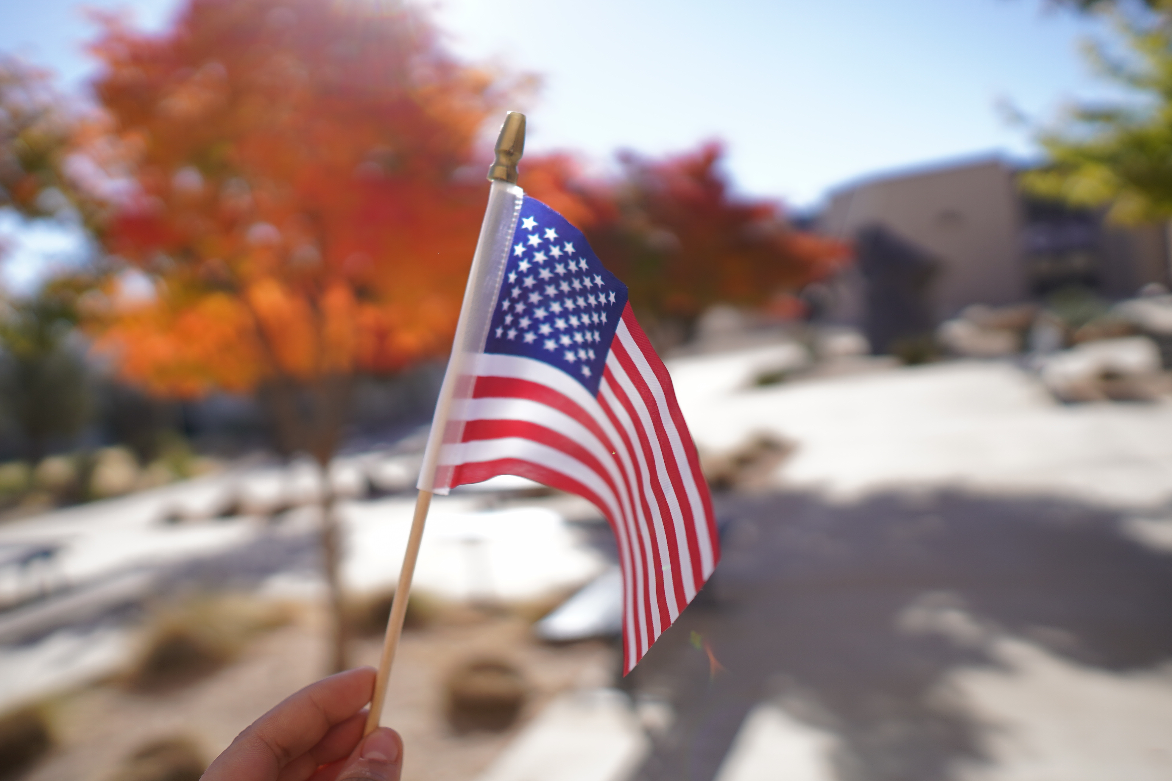 USA flag and campus